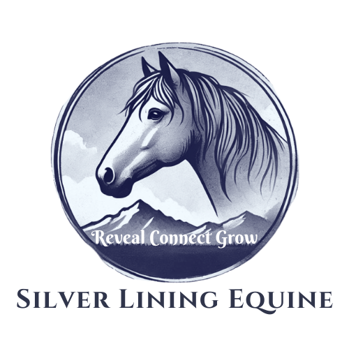 Silver Lining Equine
